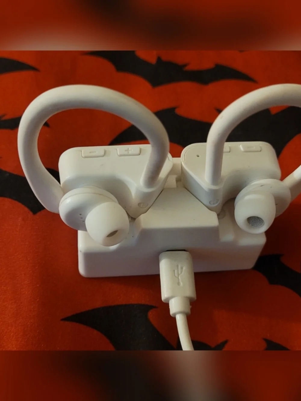 Bytech True Wireless Earbuds Bluetooth and Charger Case